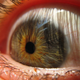 Image for article titled Science Discovered a New Human Body Part